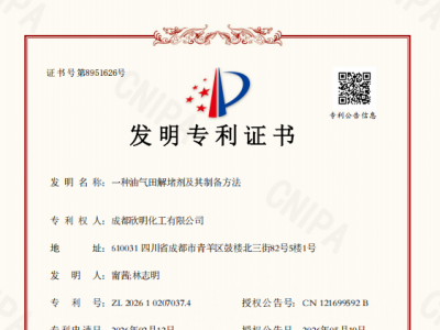 解堵剂专利证书